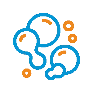 Carpet & Tile Steam Clean